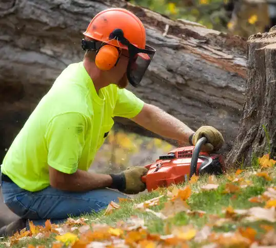 tree services Caseville